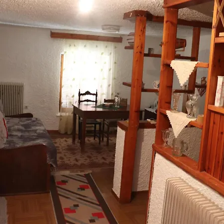 Misty Mountain Manor Apartment